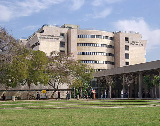 Sheba Medical Center — корпус